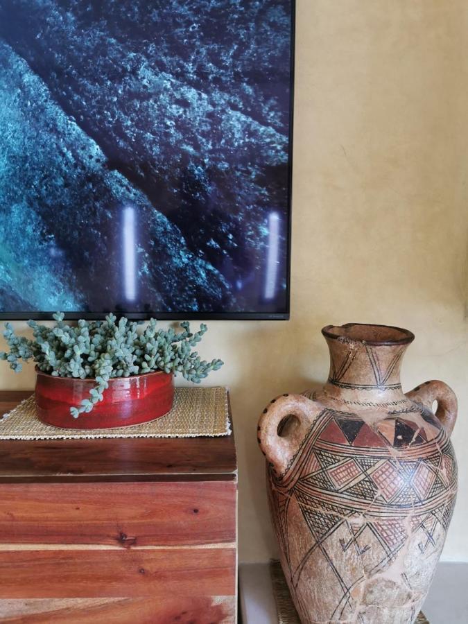 Teddy Pirate - Coliving Vandrehjem Taghazout Eksteriør billede